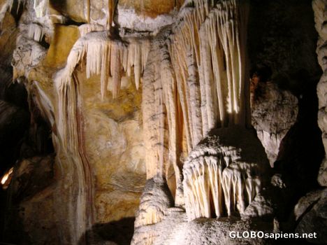 Postcard AUSTRALIE - BLUE MOUNTAINS - JENOLAN CAVES