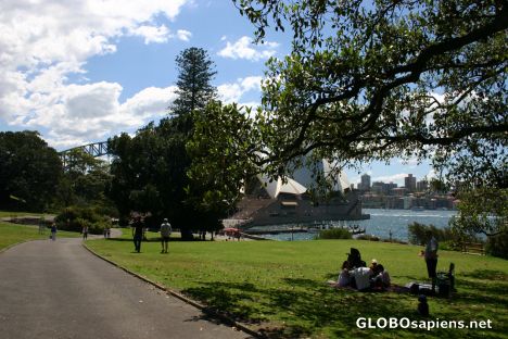 Postcard Royal Botanical Gardens