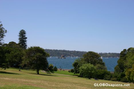 Postcard Sydney Harbour