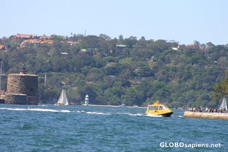 Postcard Water taxi