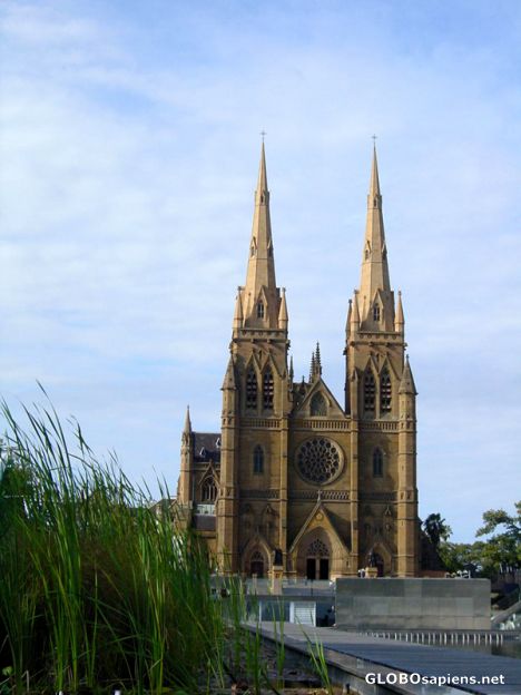 Postcard Sydney - Ste Mary Cathedrale