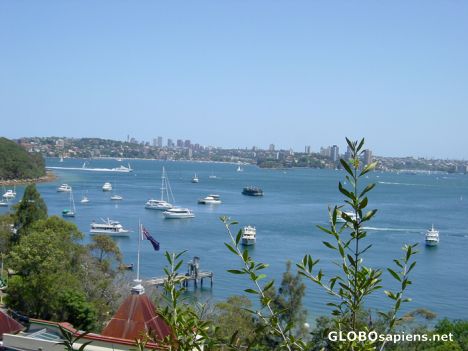 Postcard Sydney