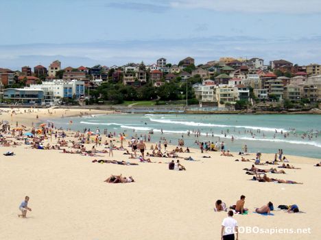 Postcard Bondi Beach