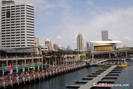 Postcard Darling Harbour Sydney on Australia Day