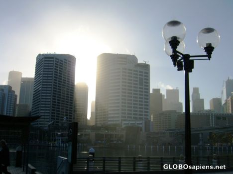Postcard early morning sydney