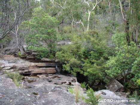 Postcard Mc Carrs Creek
