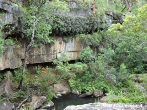 Postcard Kuring-Gai Chase Nat. Park