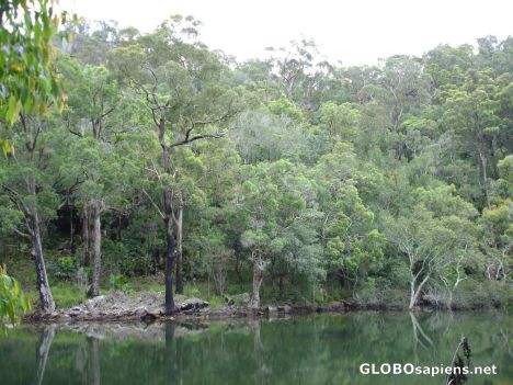 Postcard Lake within the Kuring gai National Park