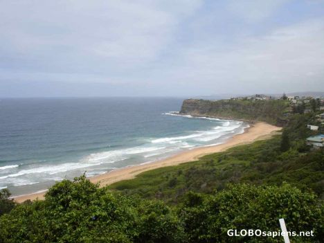 Postcard Palm beach NSW