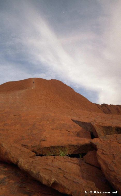 Postcard Uluru, the long walk home