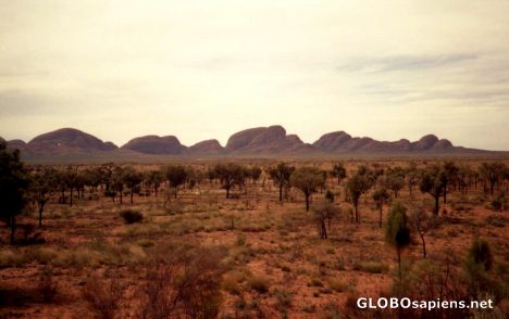 Postcard The Olgas