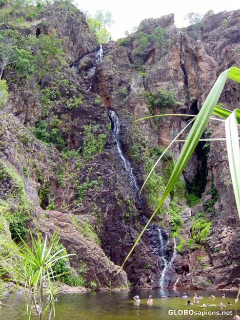 Postcard Litchfield Park - Twin falls