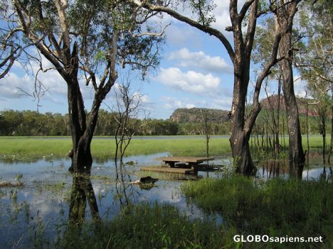 Postcard Wet season