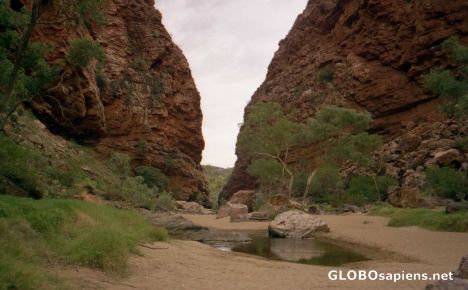 Postcard Simpsons Gap