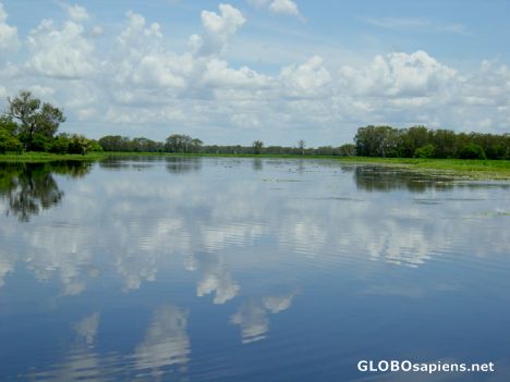 Postcard Kakadu Park - Yellow River