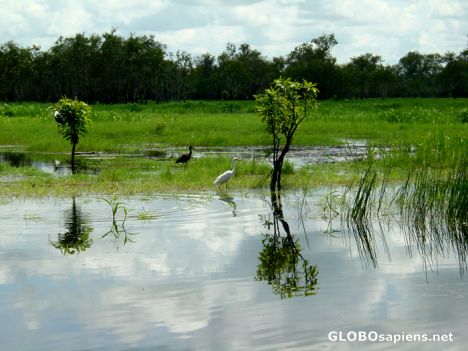 Postcard Kakadu Park - Yellow River