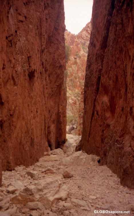 Postcard The high walls of Stanley Chasm