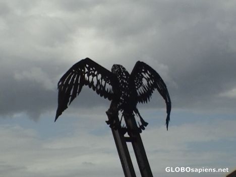 Postcard Iron Bird