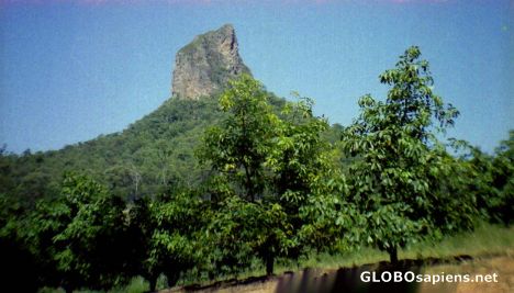 Postcard Glass House Mountains