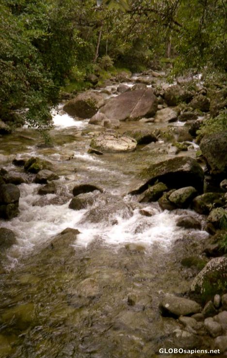 Postcard Mossman Gorge