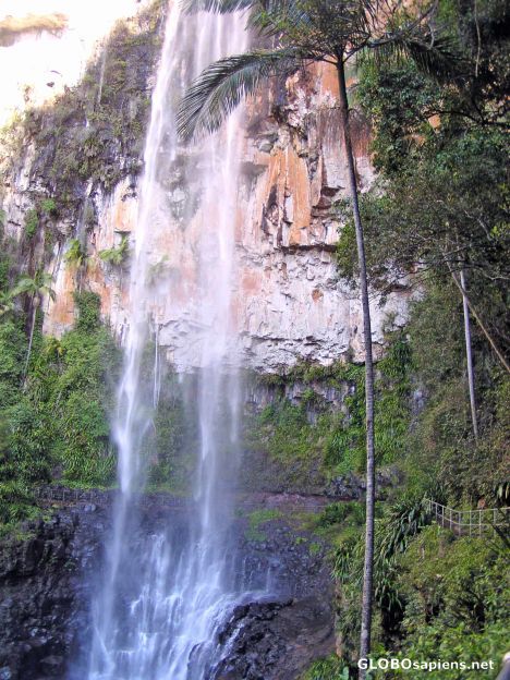 Purlingbrook Falls