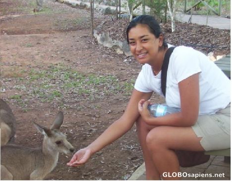 Postcard Me and Kangaroo