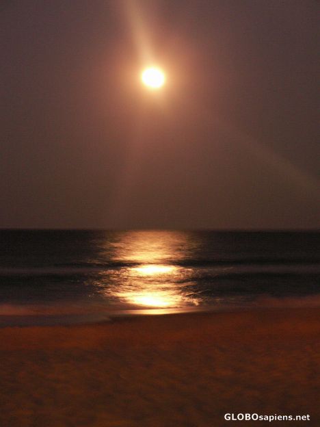 Postcard Moonrise