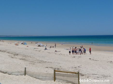 Postcard Henley Beach