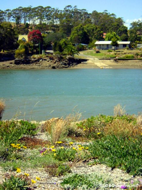 Postcard View from The Cove Retaurant