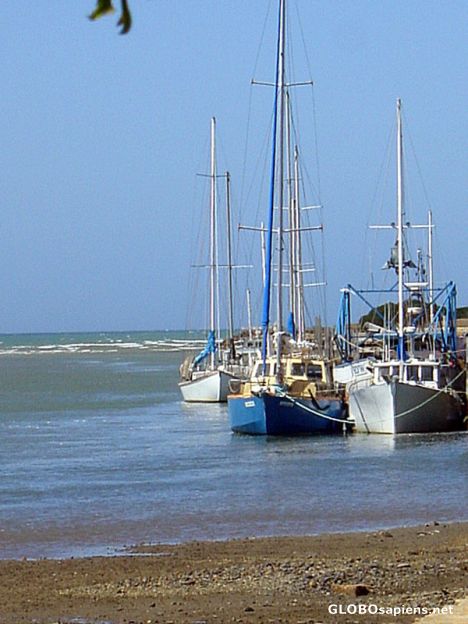 Postcard Wynyard Boats, Tasmania