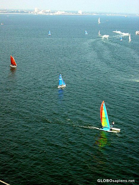 Postcard Yachts in Melbourne Harbour