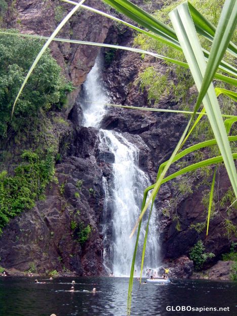 Postcard AUSTRALIE-LITCHFIELD PARK -  Twin Falls