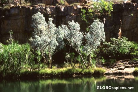 Postcard Manning Gorge