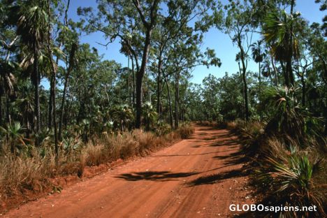 Postcard Road to Mitchell Falls
