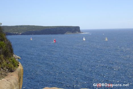 Postcard East View - From Watsons Bay