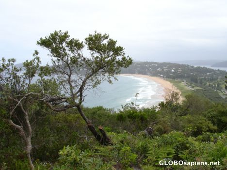 Postcard View of the Beach from half way up the hill
