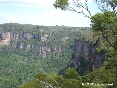 Postcard Blue Mountains Panorama