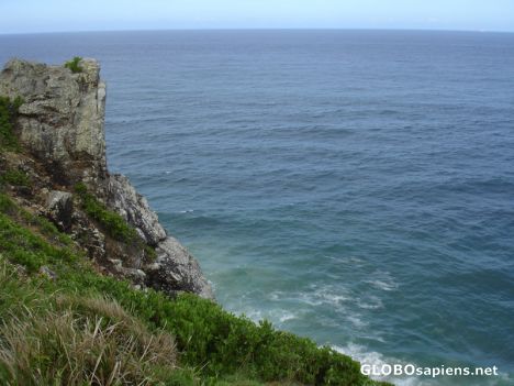 Postcard Whale Watching Observation Post
