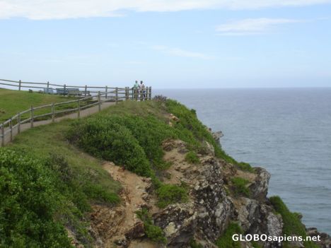 Postcard Whale Watching Observation Post