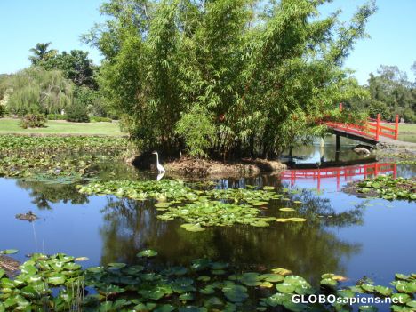 North Coast Regional Botanical Garden