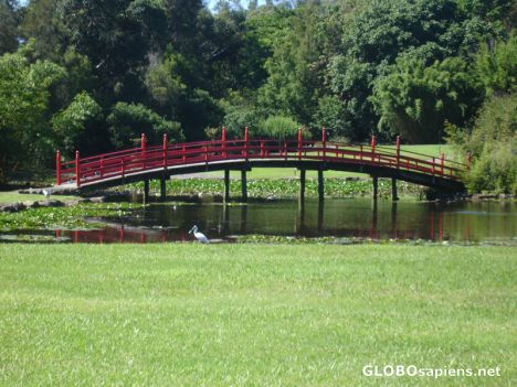 Postcard Japanese Garden - North Coast Reginonal