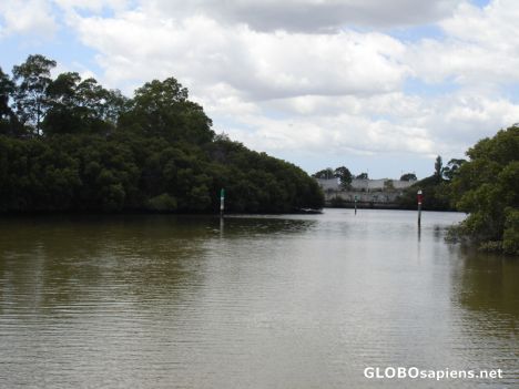Postcard River Parramatta - View from Rivercat