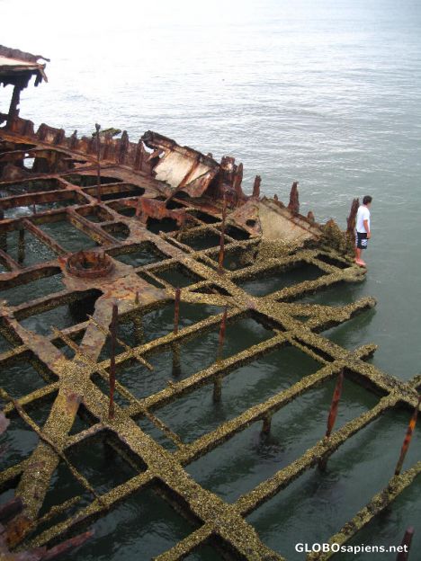 Postcard fishing from shipwreck