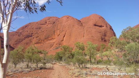 Postcard Kata Tjuta or Mt Olgas
