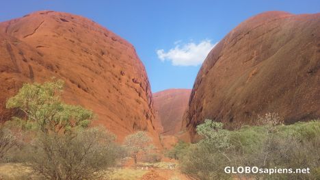 Postcard Mt Olgas