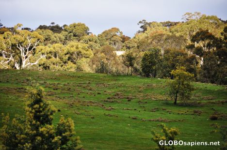 Postcard Winter @ Daylesford 3
