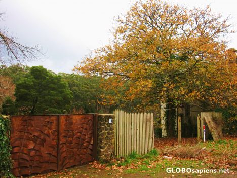 Postcard Winter @ Daylesford 5