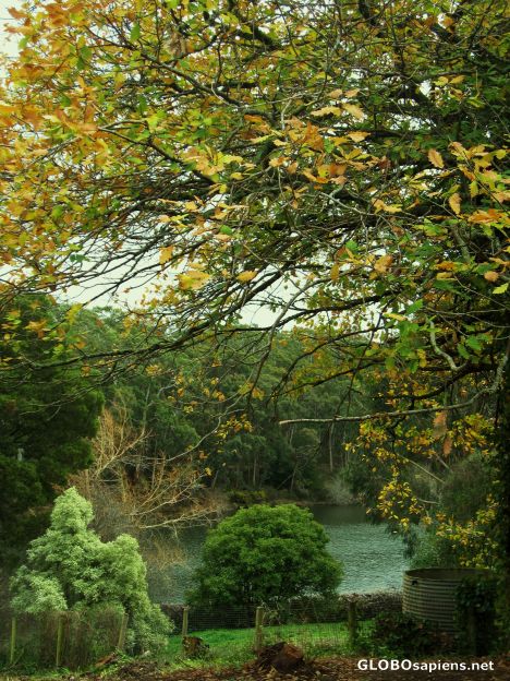 Postcard Winter @ Daylesford 6
