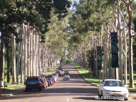 Postcard Main Road Kings Park - Perth