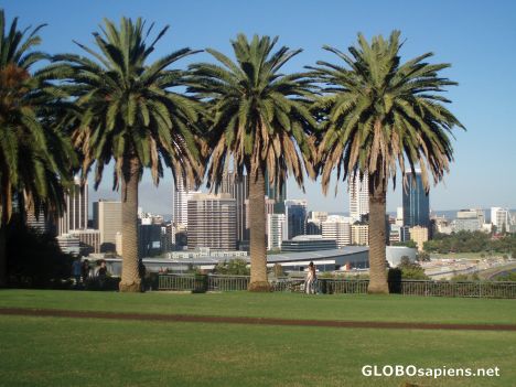 Postcard Kings Park